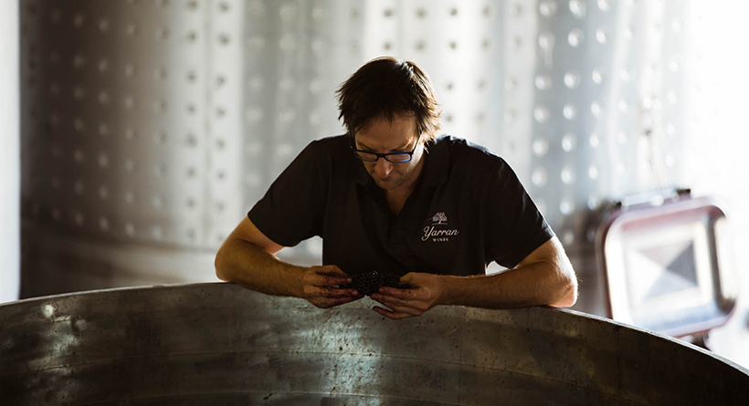 Man inspecting grapes in barrel